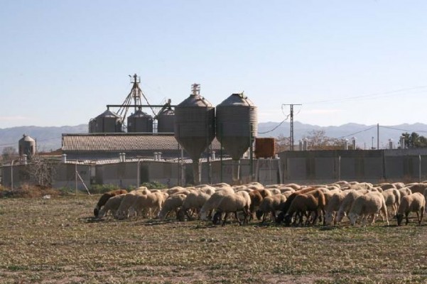 Un estudio de la UPCT evidencia la existencia de microplásticos en la agricultura de la Región
