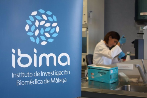 Identifican un nuevo mecanismo en el desarrollo de la esclerosis múltiple
