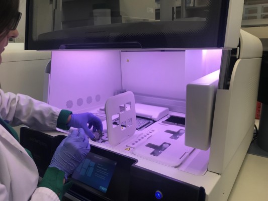 Innovación destina más de 51 millones en 2021 a la promoción de la investigación científica