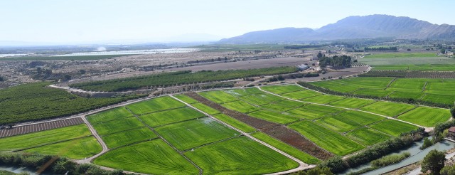 La Región, pionera en el uso de drones para el control de las ayudas de la PAC