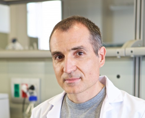El investigador de la UA Fernando Maestre entra de
     nuevo en la lista de los científicos más citados del mundo
