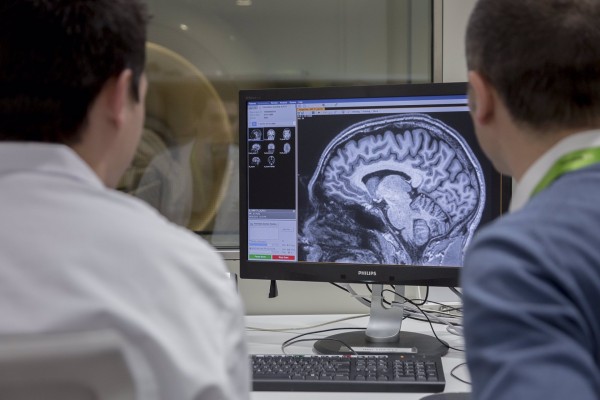 Un nuevo estudio confirma la relación entre el Alzheimer y la microbiota intestinal
