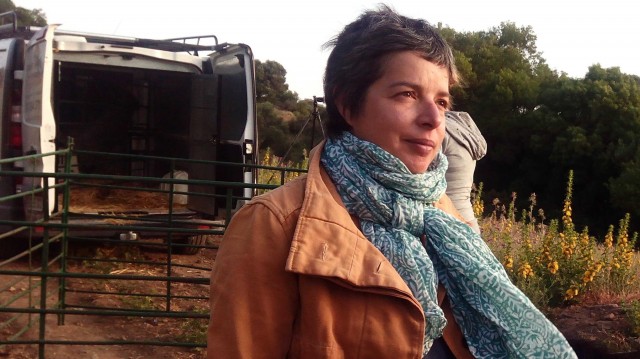 DocsValència no solo es cine. Gubern y Moncada imparten dos clases magistrales en La Nau