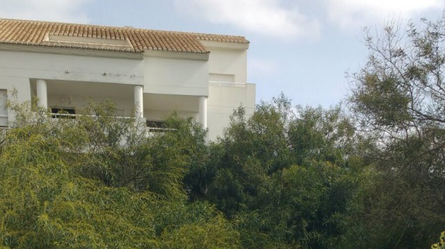 Nou Temple informa al juez de que negocia vender sus promociones inacabadas a un fondo