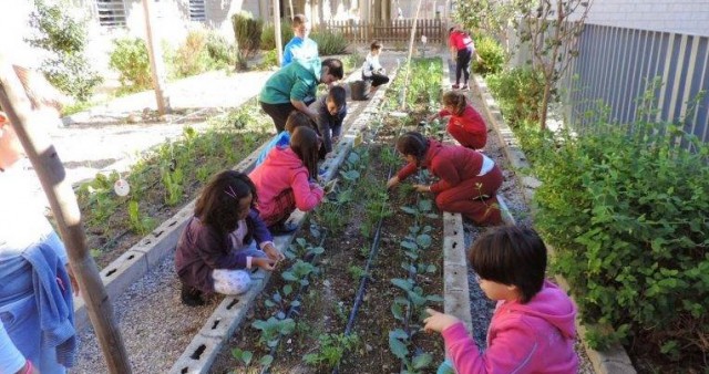 Siete mil alumnos de 46 colegios participan en el I Concurso de Espantapájaros de los huertos escolares