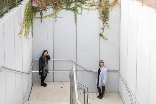 La Casa de la Música abre sus puertas, a pesar de todo

