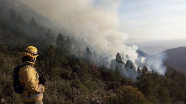 Betxí y la Vall d'Uixó analizarán las ayudas a dedo de Dalmau para evaluar si son correctas