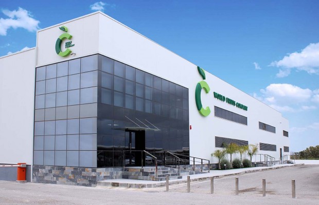 CCOO convoca una concentración en San Fulgencio ante el despido de cuatro trabajadoras de una conservera