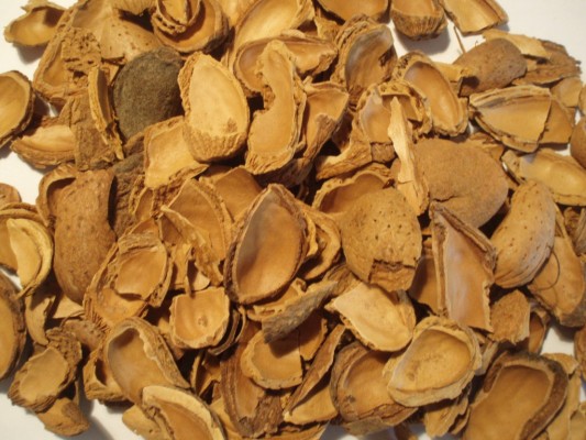 La UA patenta briquetas para combustible con residuos de almendra
