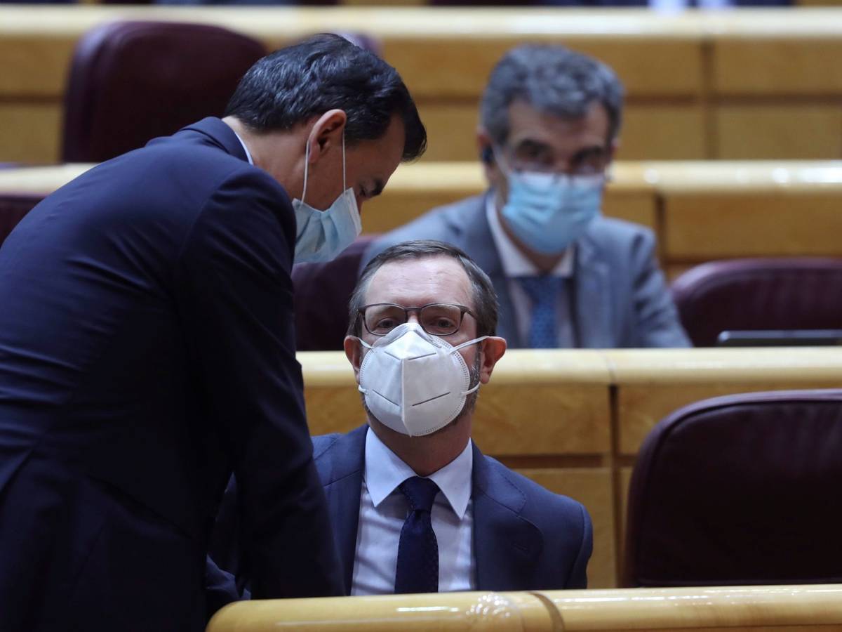 El portavoz del PP en la cámara alta, Javier Maroto. FOTO: EFE - 