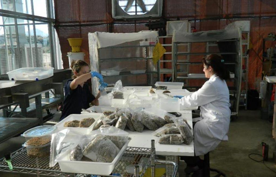 Equipo de Bioflytech. - 