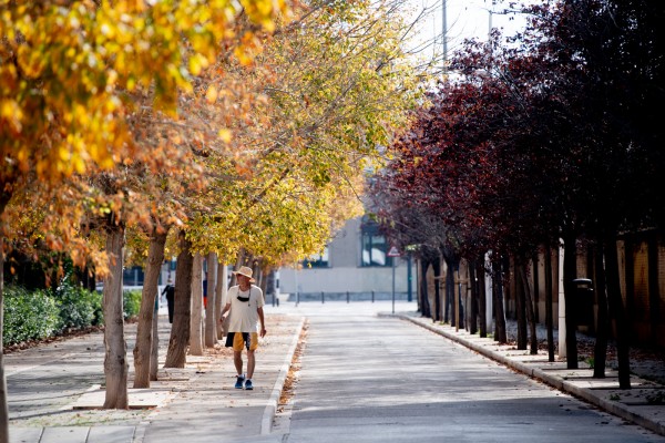 No te enfades Guastavino, pero aquí está tu calle

