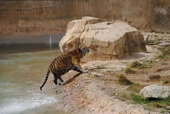 Terra Natura Benidorm abre el plazo para matricular en la Escuela de Verano