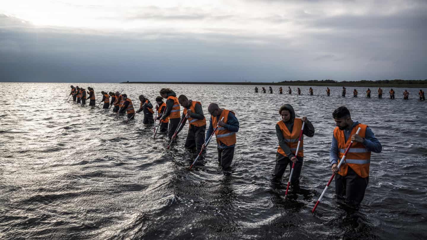 ‘The investigation’: la capacidad nórdica para no rendirse al buscar una aguja en un pajar