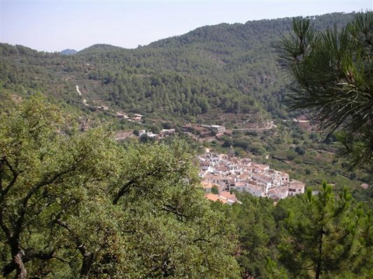 Bankia y Fundació Caixa Castelló destinan 20.000 euros 
a la Societat d'Amics de la Serra Espadà 
