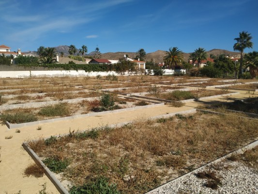La covid retrasa a febrero de 2021 la adjudicación de las parcelas del huerto urbano de El Campello
