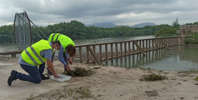 Lokímica reduce el uso de insecticidas y mejora su parque móvil para disminuir las emisiones de CO2