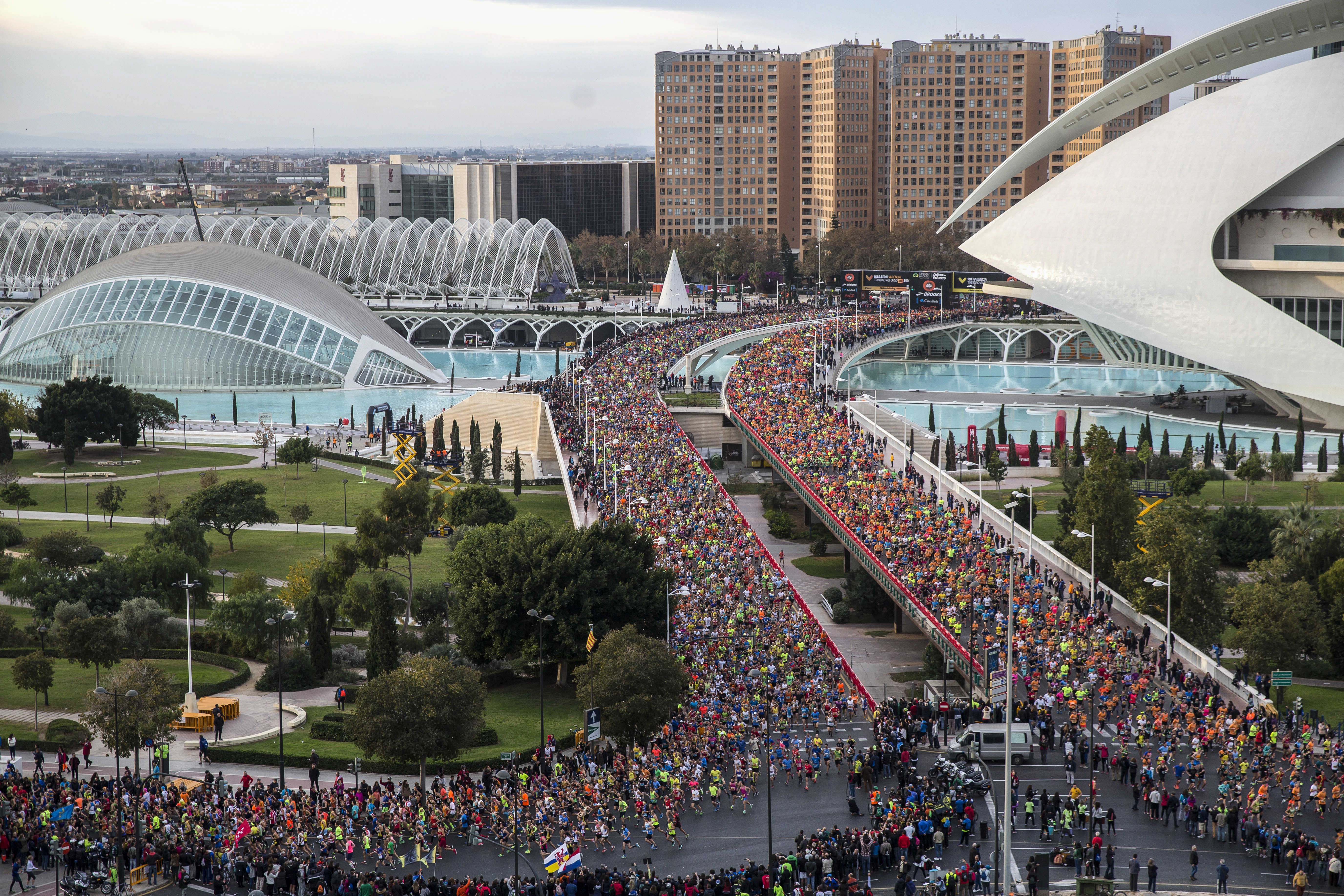 Maratón Valencia supera los 8.000 corredores inscritos a seis meses de celebrarse