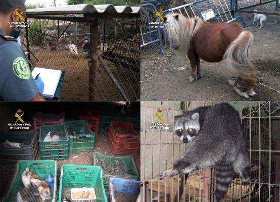 Rescatan 572 animales en pésimas condiciones de un zoo clandestino en Lorca