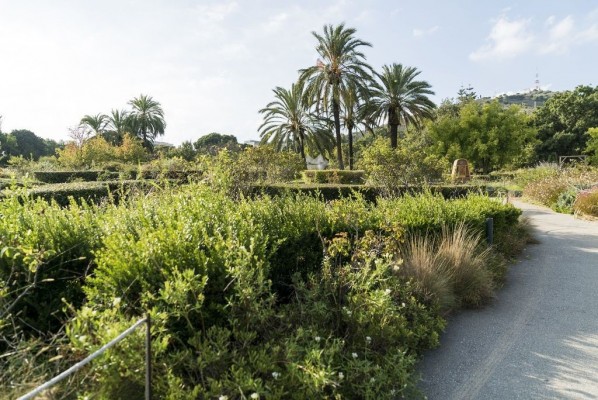 Las comunidades de plantas con mayor diversidad reducen el impacto de los depredadores
