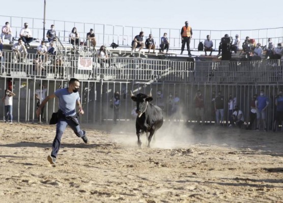 AnimaNaturalis denuncia ante Sanidad dos espectáculos taurinos celebrados en Vila-real