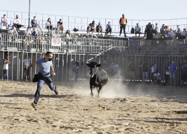 AnimaNaturalis denuncia ante Sanidad dos espectáculos taurinos celebrados en Vila-real