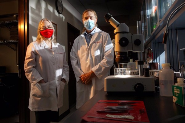Un estudio evidencia el potencial de una vacuna para limitar la diseminación del herpes
