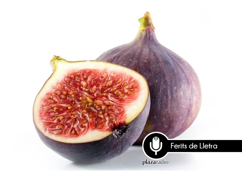 Ferits de Lletra: Les figueres del Cabanyal
