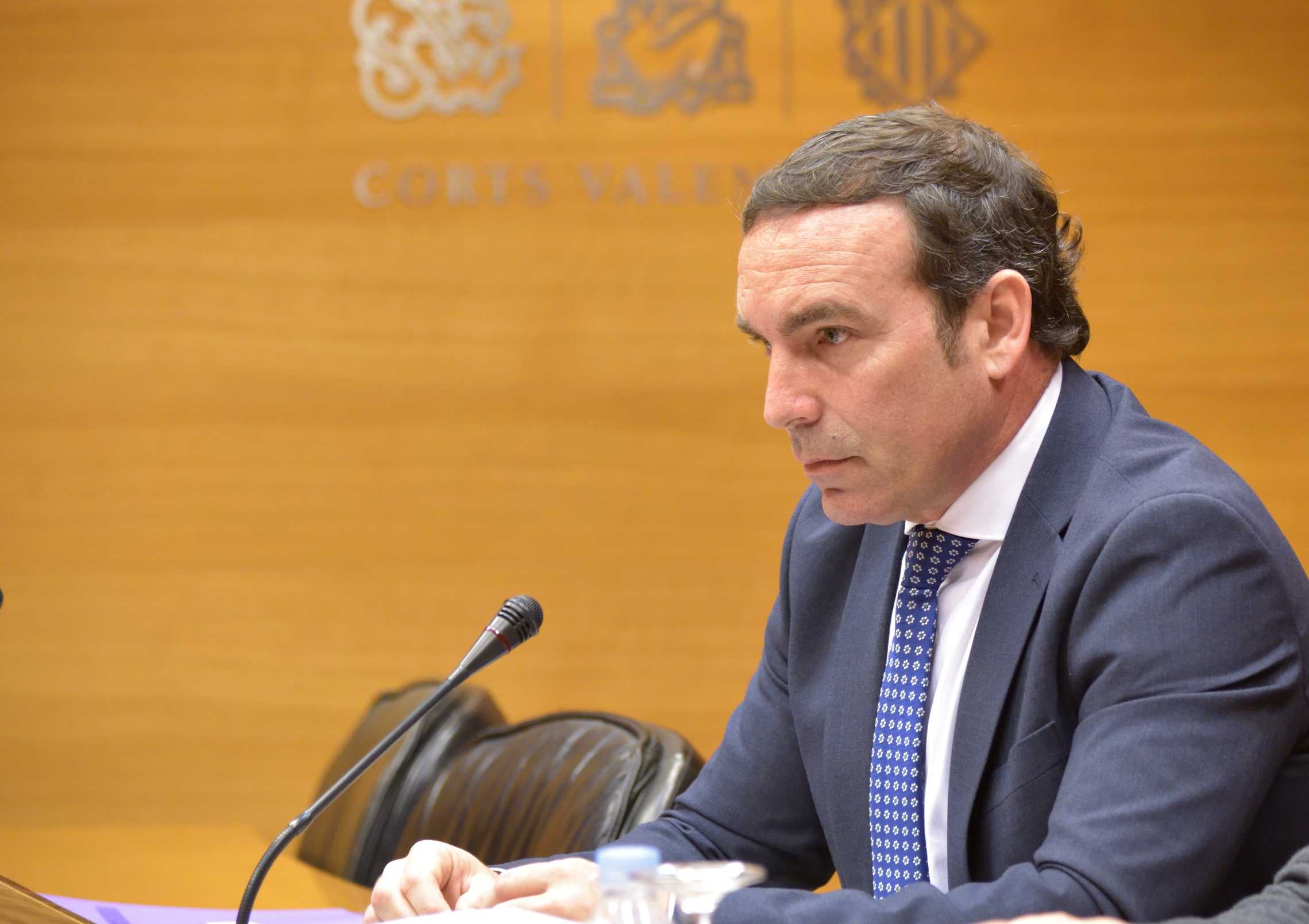 El diputado de Ciudadanos, Toni Woodward. Foto: CORTS - 