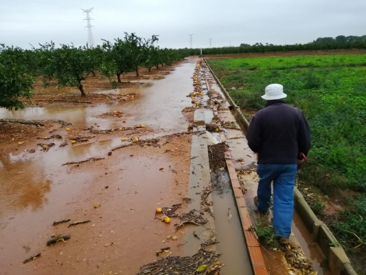 Alerta roja en La Ribera: carreteras cortadas, centros educativos cerrados y calles inundadas