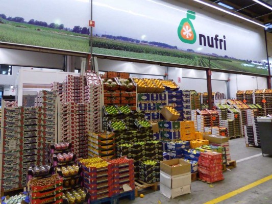 La hortofrutícola Nufri apuesta por Mercalicante: invertirá 6 millones en un centro de distribución  