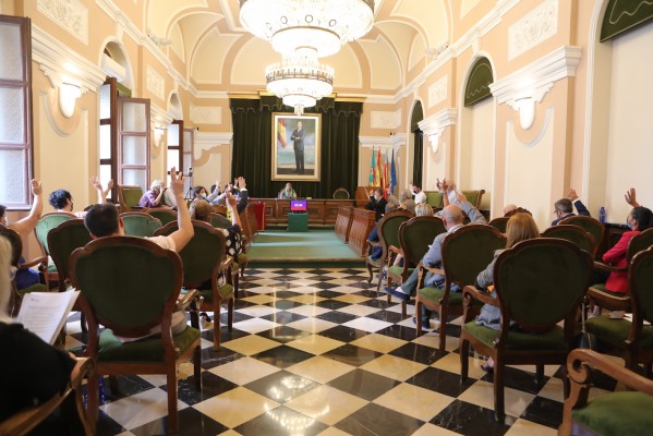 Castelló sufre el enésimo ajuste por la covid-19 y la agenda política recupera las reuniones telemáticas