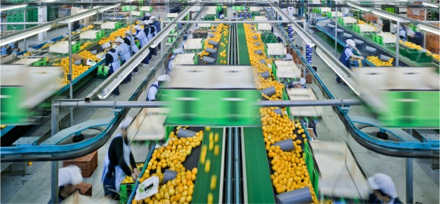 Salud ordena el cierre de la hortofrutícola Frugarva por un brote de covid con 40 contagios