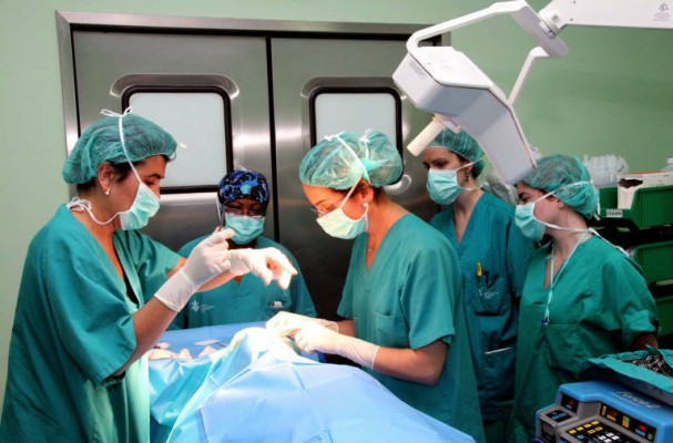 La suspensión de prácticas de Ciencias de la Salud en centros sanitarios entra en vigor este miércoles