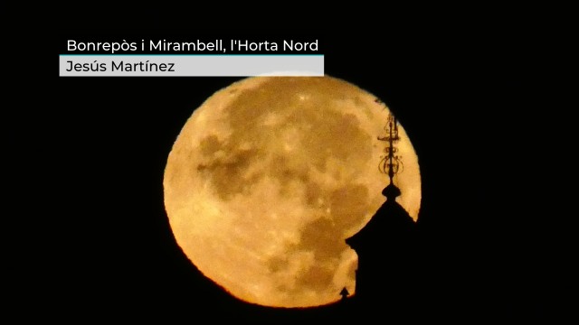 'Blue moon'