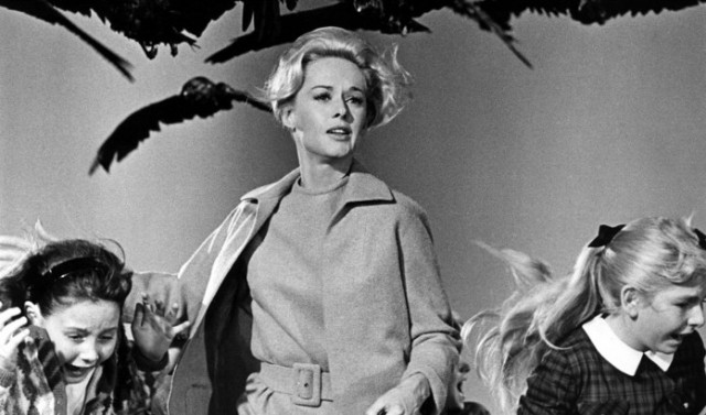 Cine Forum: cazando pájaros