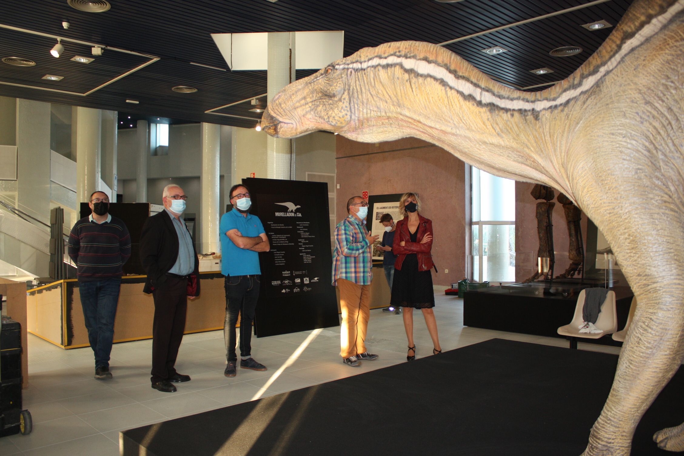 El Planetari de Castelló abre al público la exposición sobre dinosaurios 'Morelladon&CIA'