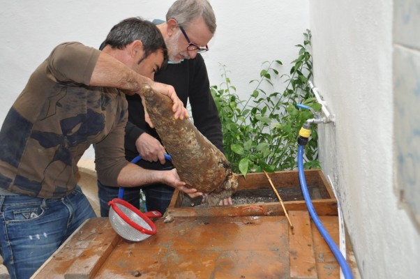 Davall les aigües del Portitxol: una història mil·lenària

