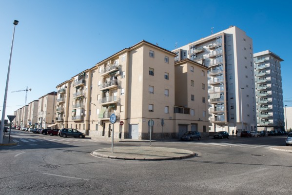 Elche trabaja en la otra parte de San Antón: en 2021, OMAC digital y comercialización de locales