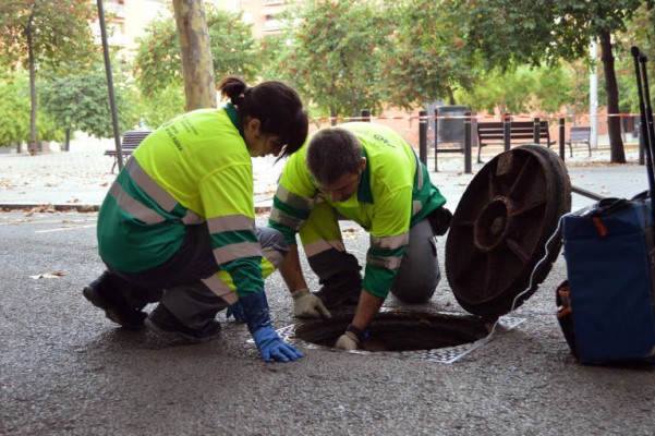 Castelló reactiva el contrato de plagas de 306.000 euros tras superar un contencioso administrativo