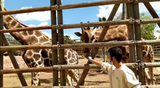 Terra Natura pone en marcha una escuela de conciliación para el día en el que no hay colegio