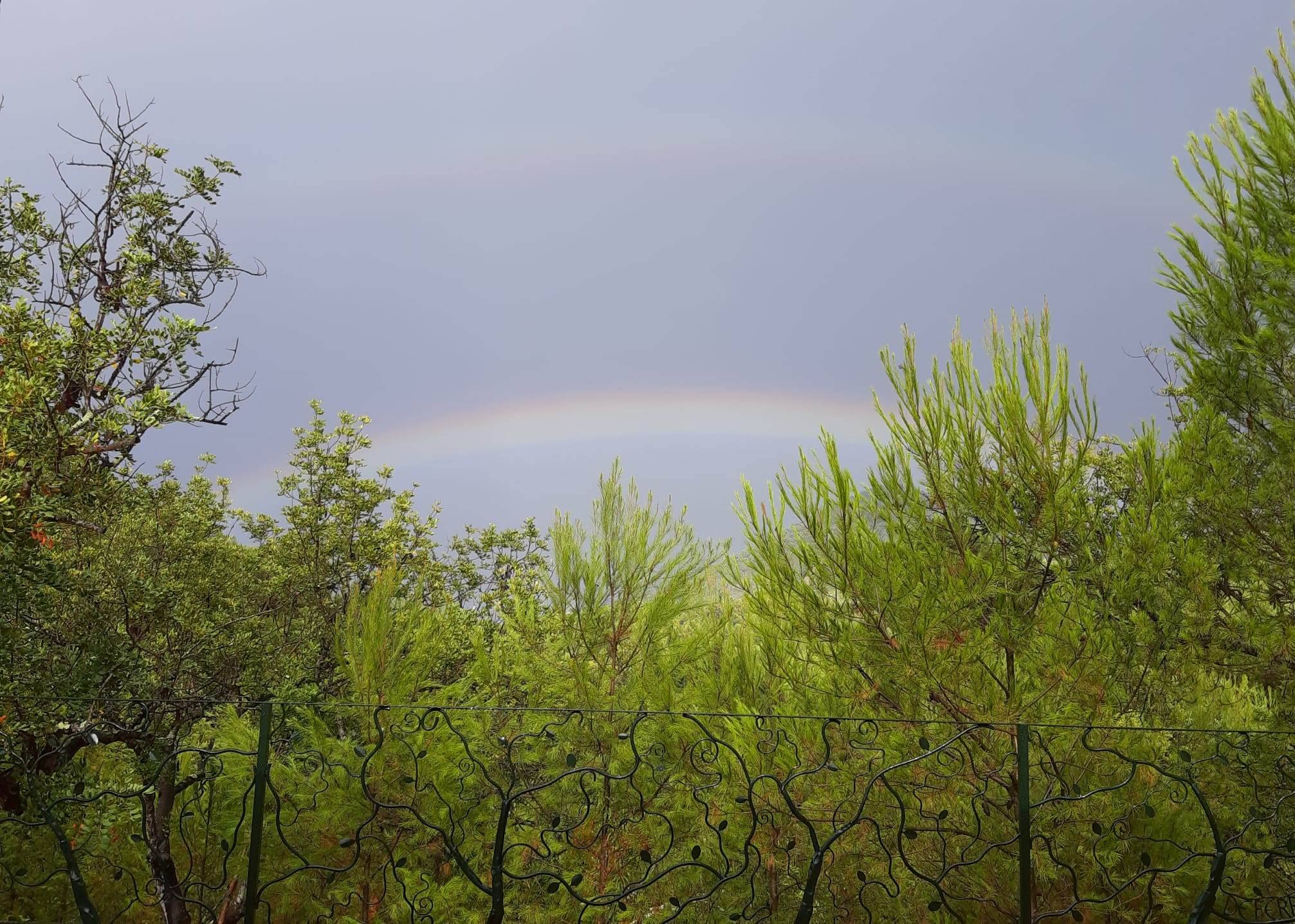 'L'Assut de l'Art' obri el termini per a participar en una residència artística ubicada en plena natura
