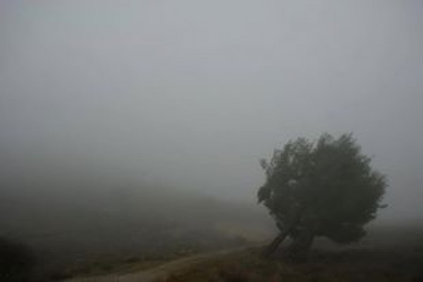 Una distopía programada 
