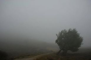 Una distopía programada 
