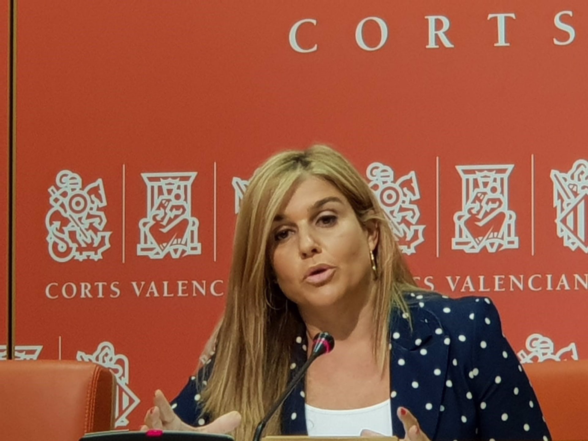Ortiz (PP) acusa a Puig de 