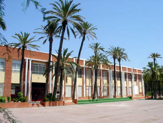 Elche elabora un protocolo para recuperar la práctica deportiva de niños y niñas en los centros escolares