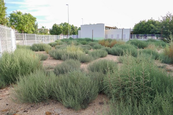 Pozo Estrecho contará con un nuevo cuartel de la Policía Local para finales del verano de 2021