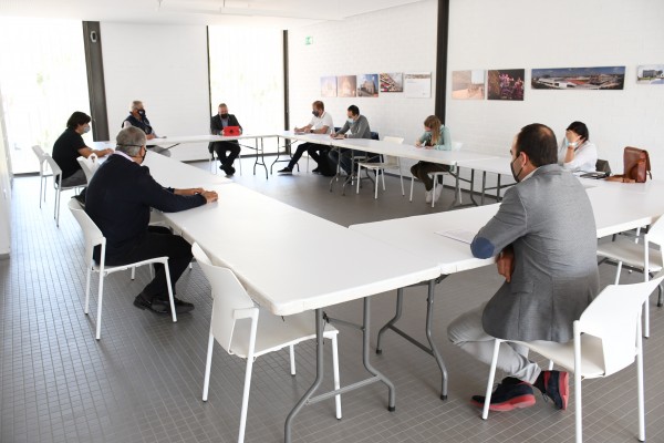 Vila-real pide medidas excepcionales al Gobierno contra la plaga del ‘cotonet’ de Sudáfrica