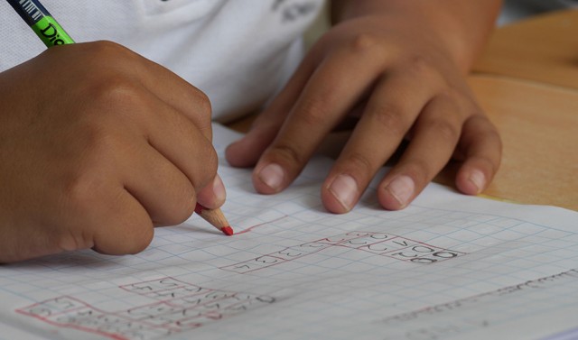 El Gobierno regional potencia el programa de refuerzo educativo para más de 11.000 alumnos 