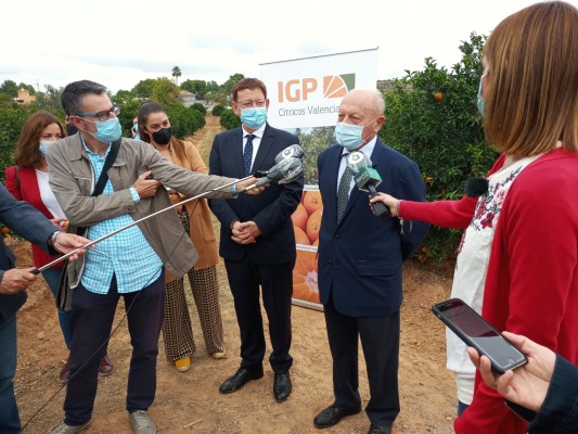 El Primer Corte de la Naranja Valenciana impulsa el consumo de cítricos locales